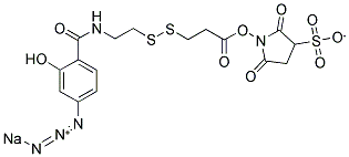 SASD Struktur