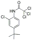 N-[4-(TERT-BUTYL)-2-CHLOROPHENYL]-2,2,2-TRICHLOROACETAMIDE Struktur