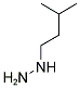 (3-METHYL-BUTYL)-HYDRAZINE Struktur