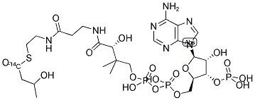 3-HYDROXYBUTYRYL COENZYME A, [HYDROXYBUTYRYL-1-14C] Struktur