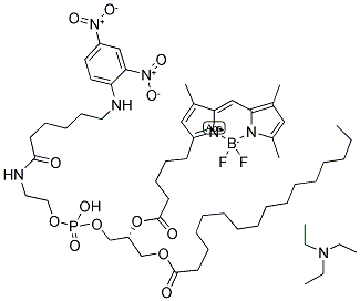 N-((6-(2,4-DINITROPHENYL)AMINO)HEXANOYL)-2-(4,4-DIFLUORO-5,7-DIMETHYL-4-BORA-3A,4A-DIAZA-S-INDACENE-3-PENTANOYL)-1-HEXADECANOYL-SN-GLYCERO-3-PHOSPHOETHANOLAMINE, TRIETHYLAMMONIUM SALT (PED6) Struktur