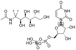 URIDINE DIPHOSPHATE N-ACETYL GLUCOSAMINE, [1-3H] Struktur