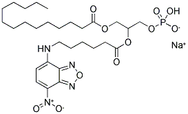 1-MYRISTOYL-2-[6-[(7-NITRO-2-,1,3-BENZOXADIAZOL-4-YL)AMINO]CAPROYL]-SN-GLYCEROL-3-PHOSPHO-RAC-(1-GLYCEROL) SODIUM SALT Struktur