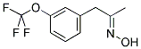 (3-(TRIFLUOROMETHOXY)PHENYL)ACETONE OXIME Struktur