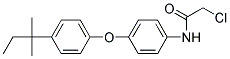 2-CHLORO-N-(4-[4-(1,1-DIMETHYL-PROPYL)-PHENOXY]-PHENYL)-ACETAMIDE Struktur