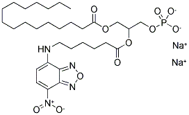 1-PALMITOYL-2-[6-[(7-NITRO-2-,1,3-BENZOXADIAZOL-4-YL)AMINO]CAPROYL]-SN-GLYCEROL-3-PHOSPHO-RAC-(1-GLYCEROL) DISODIUM SALT Struktur