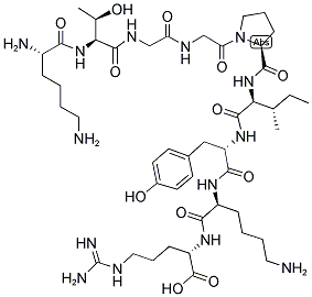 CEF5 Struktur