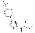 N-[4-(4-TERT-BUTYL-PHENYL)-THIAZOL-2-YL]-2-CHLORO-ACETAMIDE Struktur