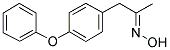 (4-PHENOXYPHENYL)ACETONE OXIME Struktur