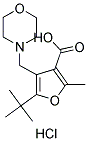 5-TERT-BUTYL-2-METHYL-4-MORPHOLIN-4-YLMETHYL-FURAN-3-CARBOXYLIC ACID HYDROCHLORIDE Struktur