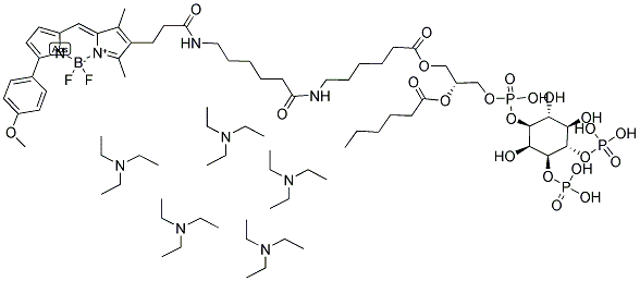 BODIPY(R) TMR-X C6-PHOSPHATIDYLINOSITOL 3,4-DIPHOSPHATE, PENTA(TRIETHYLAMMONIUM) SALT Struktur