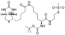 N-T-BOC-BIOCYTINAMIDOETHYL METHANETHIOSULFONATE Struktur