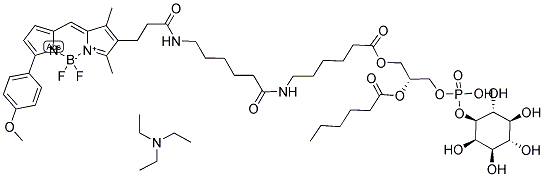 BODIPY(R) TMR-X C6-PHOSPHATIDYLINOSITOL, TRIETHYLAMMONIUM SALT Struktur