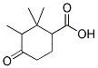 2,2,3-TRIMETHYL-4-OXOCYCLOHEXANECARBOXYLIC ACID Struktur