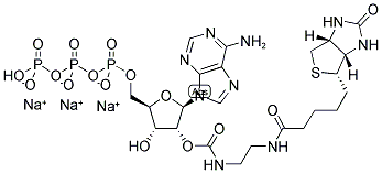 2'/3'-O-(2-(BIOTINYL-BUTYL-CARBAMOYL)ETHYL-CARBAMOYL)-ADENOSINE-5'-TRIPHOSPHATE, SODIUM SALT Struktur