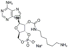 2'-(6-AMINOHEXYLCARBAMOYL)ADENOSINE-3',5'-CYCLIC MONOPHOSPHATE SODIUM SALT Struktur