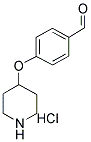 4-(PIPERIDIN-4-YLOXY)BENZALDEHYDE HYDROCHLORIDE Struktur