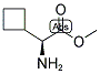 (S)-AMINO-CYCLOBUTYL-ACETIC ACID METHYL ESTER Struktur