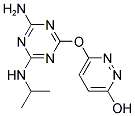 6-{[4-AMINO-6-(ISOPROPYLAMINO)-1,3,5-TRIAZIN-2-YL]OXY}PYRIDAZIN-3-OL Struktur