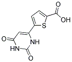 5-(2,6-DIOXO-1,2,3,6-TETRAHYDROPYRIMIDIN-4-YL)THIOPHENE-2-CARBOXYLIC ACID Struktur