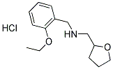 (2-ETHOXY-BENZYL)-(TETRAHYDRO-FURAN-2-YLMETHYL)-AMINE HYDROCHLORIDE Struktur