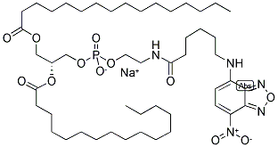 N-(NBD-AMINOCAPROYL)-1,2-DIPALMITOYL-SN-GLYCERO-3-PHOSPHOETHANOLAMINE SODIUM SALT Struktur