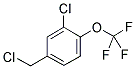 3-CHLORO-4-TRIFLUOROMETHOXY-BENZYLCHLORIDE Struktur