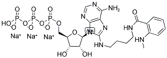 8-[(4-(N-METHYL-ANTHRANILOYL)-AMINO)BUTYL]-AMINO-ADENOSINE-5'-TRIPHOSPHATE, SODIUM SALT Struktur