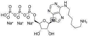 N6-(6-AMINO)HEXYL-ADENOSINE-5'-TRIPHOSPHATE, SODIUM SALT Struktur