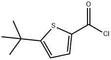 5-TERT-BUTYL-THIOPHENE-2-CARBONYL CHLORIDE Struktur