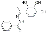 N'-[(1Z)-1-(2,3,4-TRIHYDROXYPHENYL)ETHYLIDENE]BENZOHYDRAZIDE Struktur