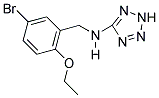 N-(5-BROMO-2-ETHOXYBENZYL)-2H-TETRAZOL-5-AMINE Struktur