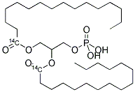 PHOSPHATIDIC ACID, 1-ALPHA-DIPALMITOYL, [PALMITOYL-1-14C] Struktur