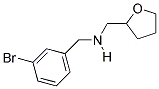 1-(3-BROMOPHENYL)-N-(TETRAHYDROFURAN-2-YLMETHYL)METHANAMINE Struktur