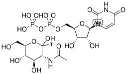 URIDINE DIPHOSPHATE N-ACETYL-GLUCOSAMINE, [GLUCOSAMINE-1-3H] Struktur