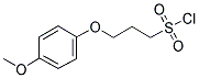 3-(4-METHOXYPHENOXY)PROPANE SULFONYL CHLORIDE Struktur