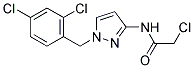 2-CHLORO-N-[1-(2,4-DICHLORO-BENZYL)-1H-PYRAZOL-3-YL]-ACETAMIDE Struktur