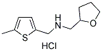 (5-METHYL-THIOPHEN-2-YLMETHYL)-(TETRAHYDRO-FURAN-2-YLMETHYL)-AMINE HYDROCHLORIDE Struktur