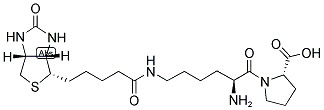 BIOCYTIN-L-PROLINE Struktur