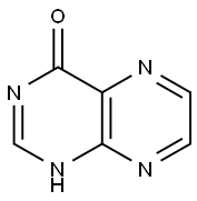 PTERIDIN-4(1H)-ONE Struktur