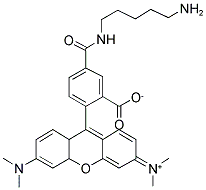 5-TAMRA CADAVERINE Struktur