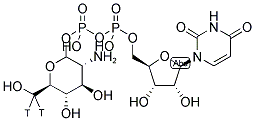 URIDINE DIPHOSPHATE D-GLUCOSAMINE [GLUCOSAMINE 6-3H] Struktur