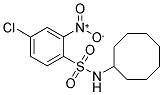 ((4-CHLORO-2-NITROPHENYL)SULFONYL)CYCLOOCTYLAMINE Struktur