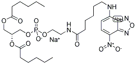 N-(NBD-AMINOCAPROYL)-1,2-DIHEXANOYL-SN-GLYCERO-3-PHOSPHOETHANOLAMINE SODIUM SALT Struktur