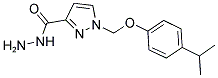 1-(4-ISOPROPYL-PHENOXYMETHYL)-1 H-PYRAZOLE-3-CARBOXYLIC ACID HYDRAZIDE Struktur