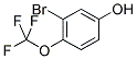 3-BROMO-4-(TRIFLUOROMETHOXY)PHENOL Struktur