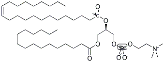 PHOSPHATIDYLCHOLINE, L-ALPHA-1-PALMITOYL-2 ERUCOYL, [ERUCOYL-1-14C] Struktur