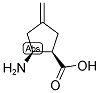 (1R,2S)-2-AMINO-4-METHYLENECYCLOPENTANECARBOXYLIC ACID Struktur