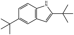 2,5-DI-TERT-BUTYL-1H-INDOLE Struktur