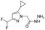 (5-CYCLOPROPYL-3-DIFLUOROMETHYL-PYRAZOL-1-YL)-ACETIC ACID HYDRAZIDE Struktur